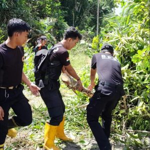 FB_IMG_1762083420177