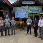 Bank Kalteng Cabang Buntok Salurkan 5 Hewan Kurban untuk Masyarakat Barsel